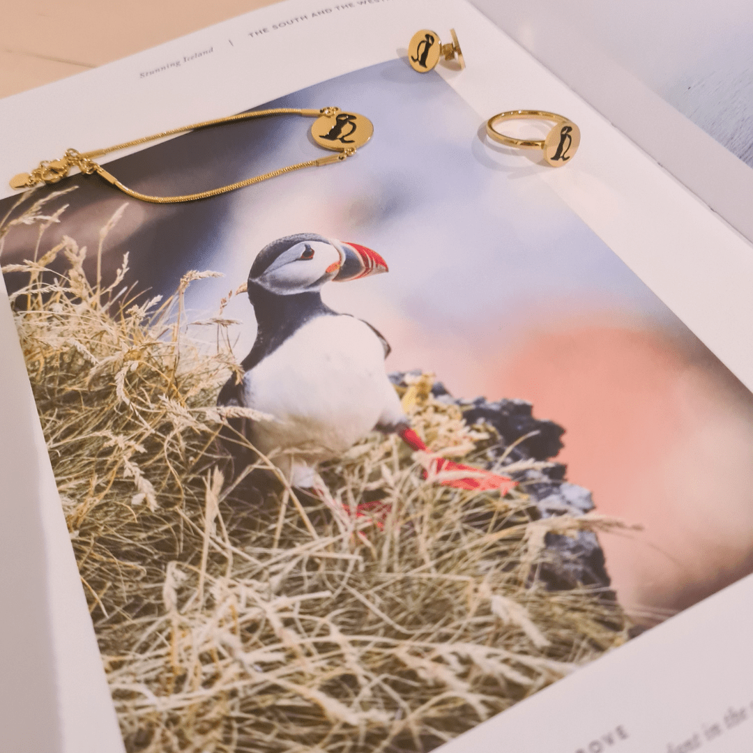Puffin Ohrringe